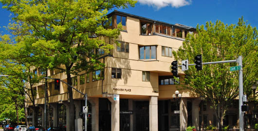 Tailored commercial property management